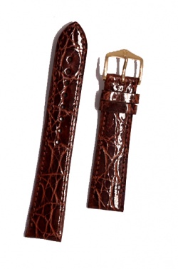 Hirsch 'Genuine Croco' M 16mm Golden Brown Leather Strap  - 18900870-1-16