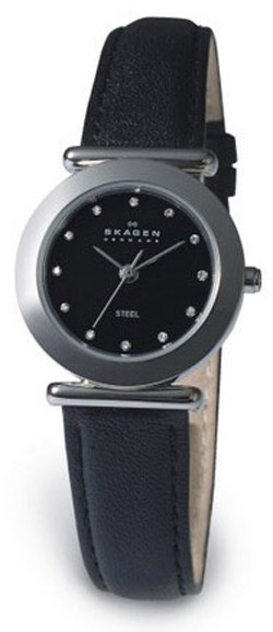 Ladies Skagen Strap Watch - 107SSLB