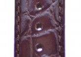 Padded Crocodile Brown Leather Watch Strap 14mm