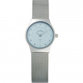 Ladies Skagen Bracelet Watch 233XSSZI