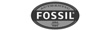 fossil fossil