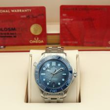 Gents Omega Seamaster 21030422003003 Steel case with Summer Blue Wave dial