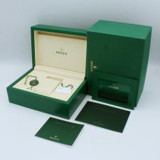 Gents Rolex Oyster Perpetual 41 134300 Steel case with Pistachio dial