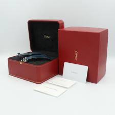 Gents Cartier Santos WSSA0030 Steel case with Blue dial